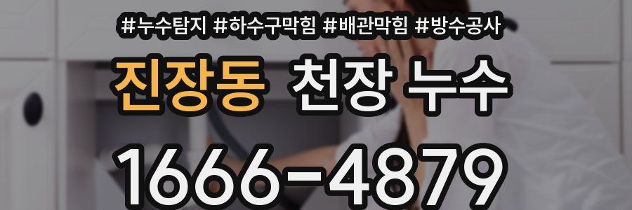 진장동 천장 누수