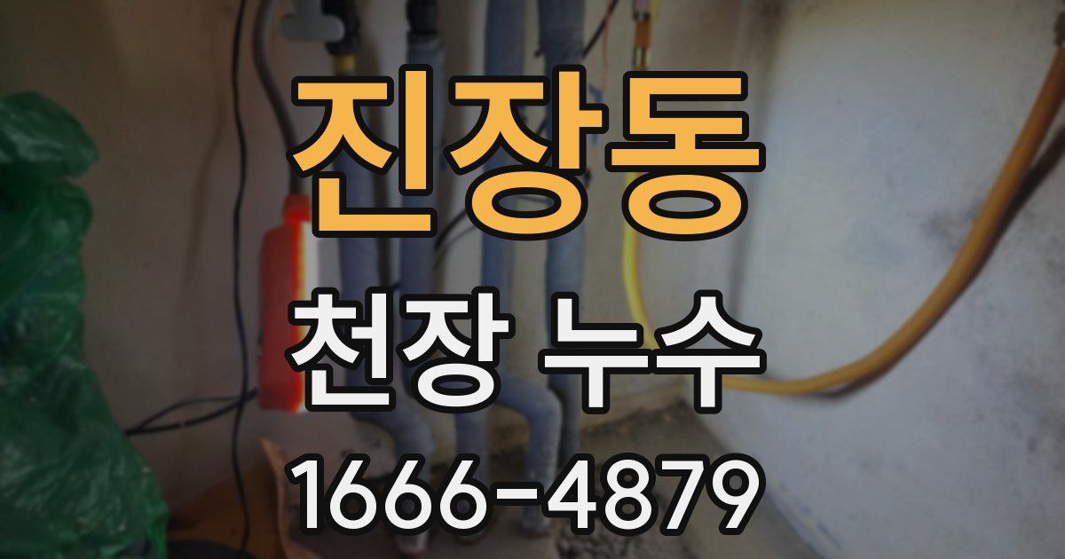 진장동 천장 누수