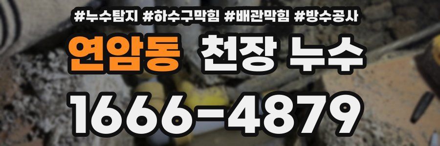 연암동 천장 누수