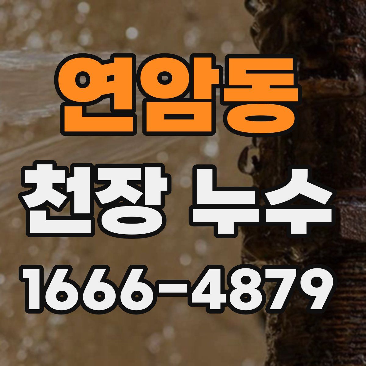 연암동 천장 누수