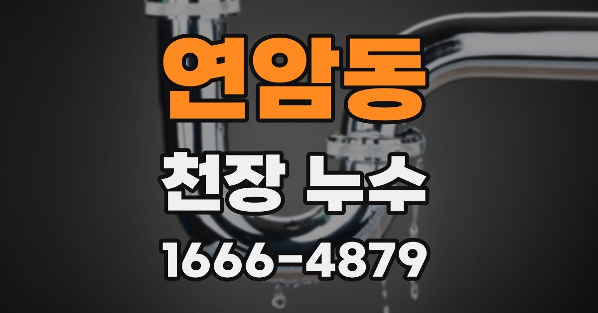 연암동 천장 누수
