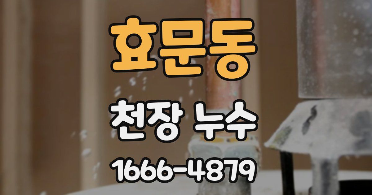 효문동 천장 누수