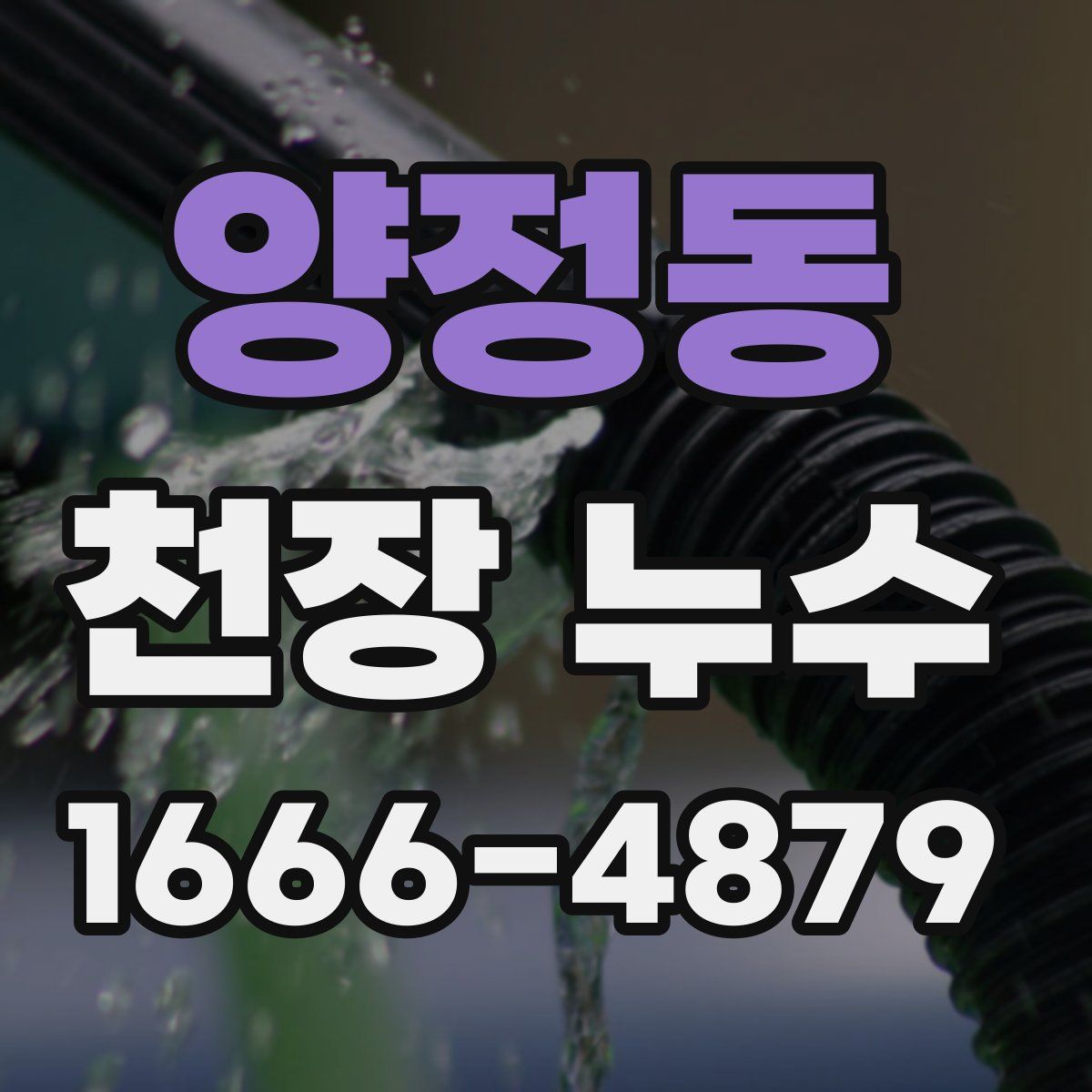 양정동 천장 누수