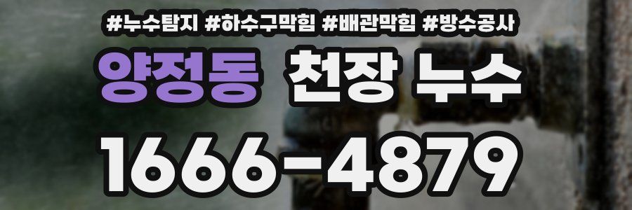 양정동 천장 누수