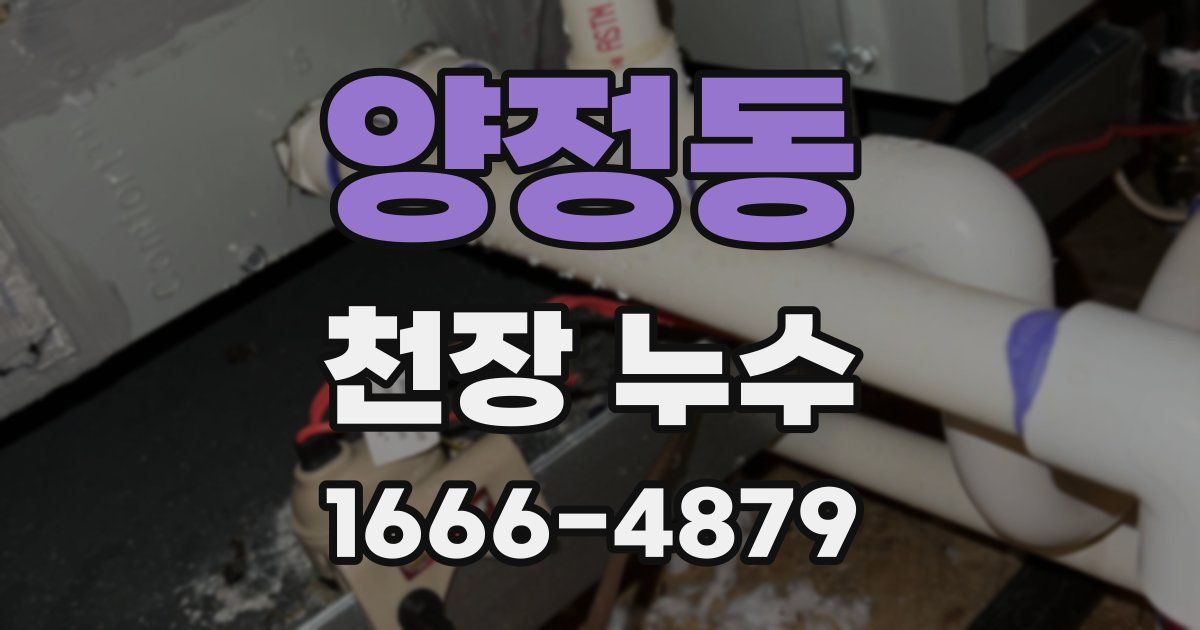 양정동 천장 누수