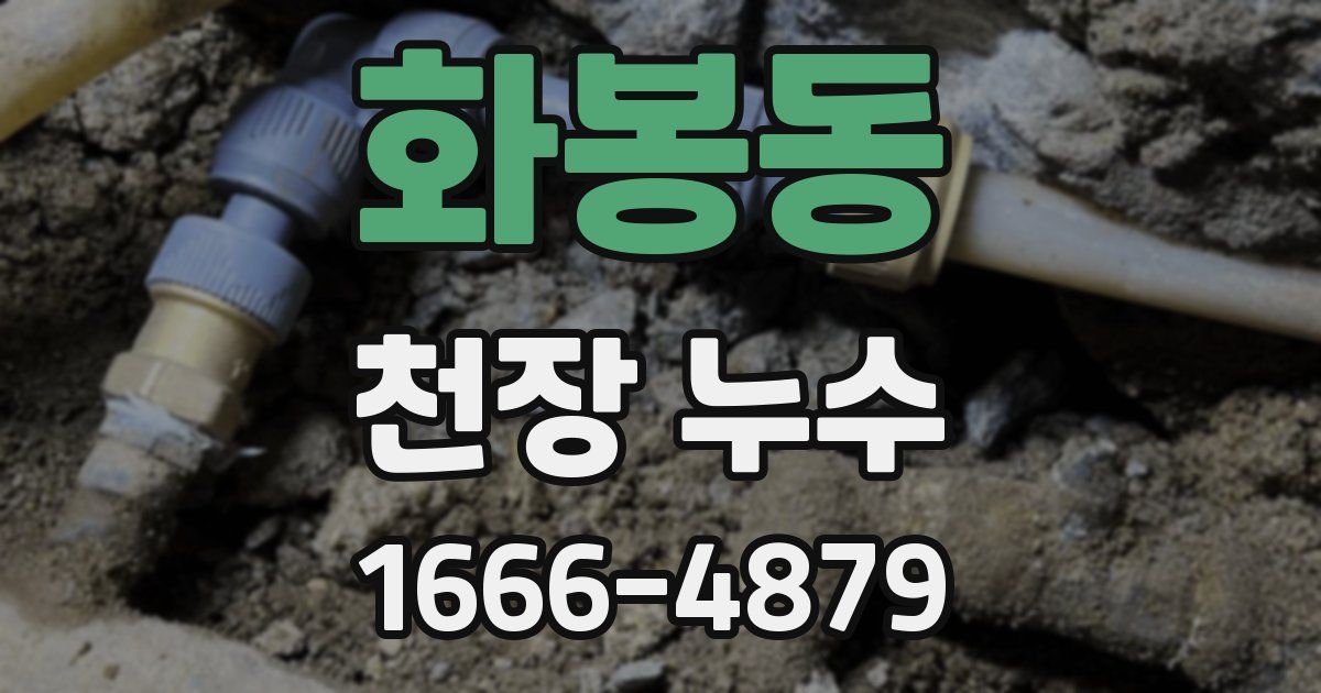 화봉동 천장 누수