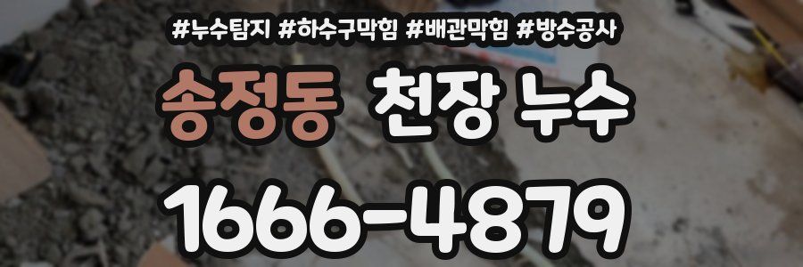 송정동 천장 누수