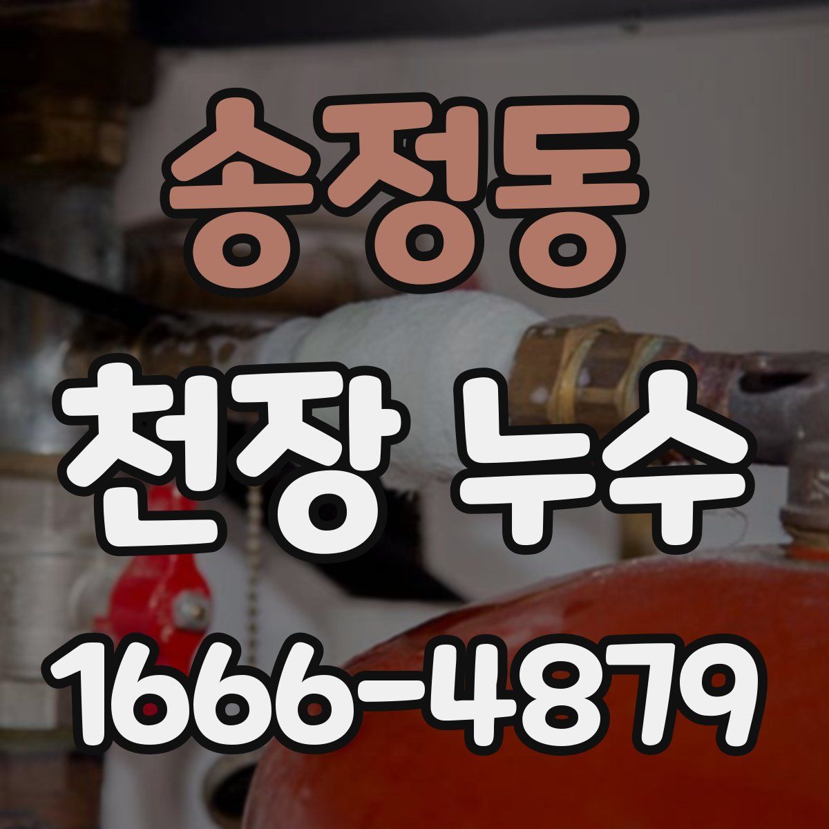 송정동 천장 누수