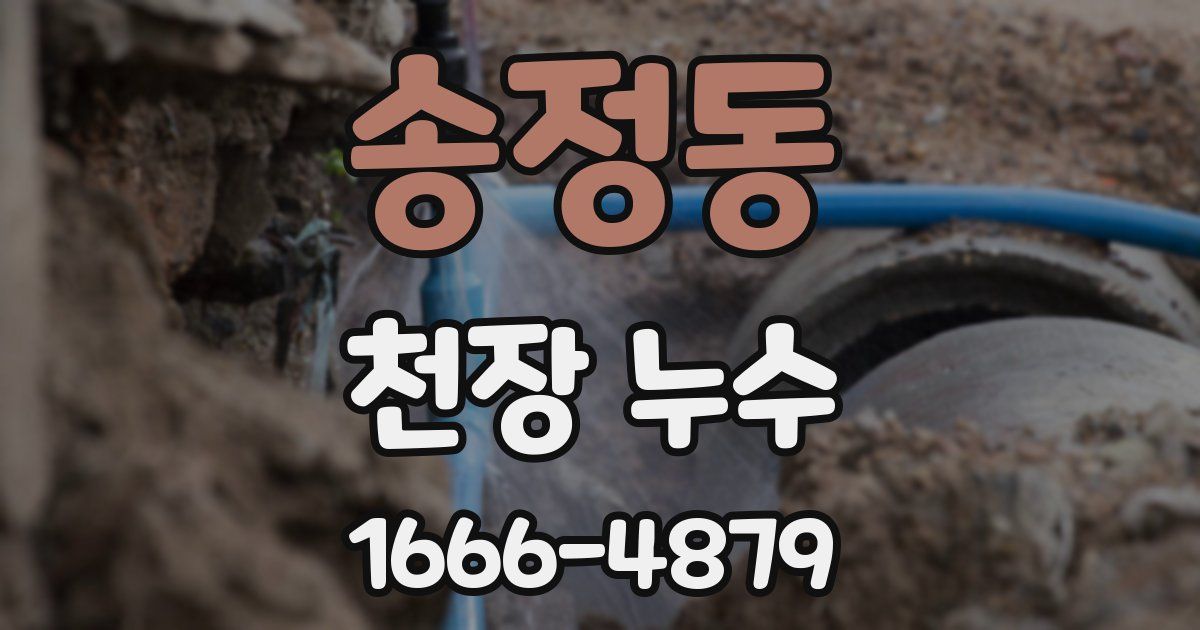 송정동 천장 누수