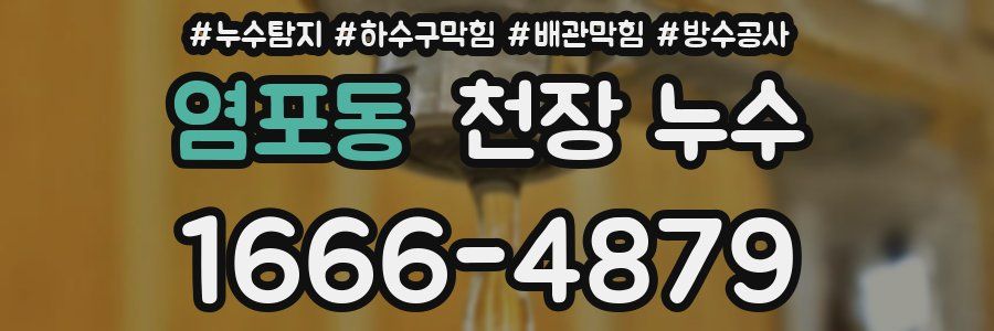염포동 천장 누수