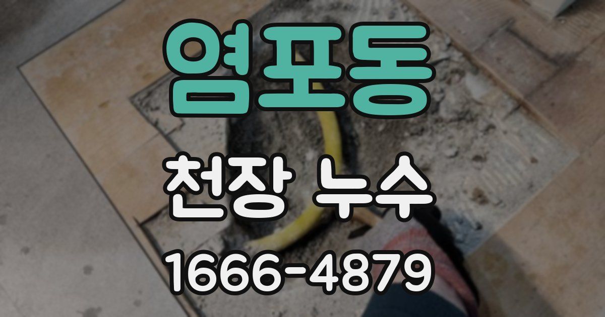 염포동 천장 누수