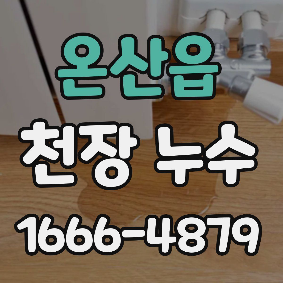 온산읍 천장 누수