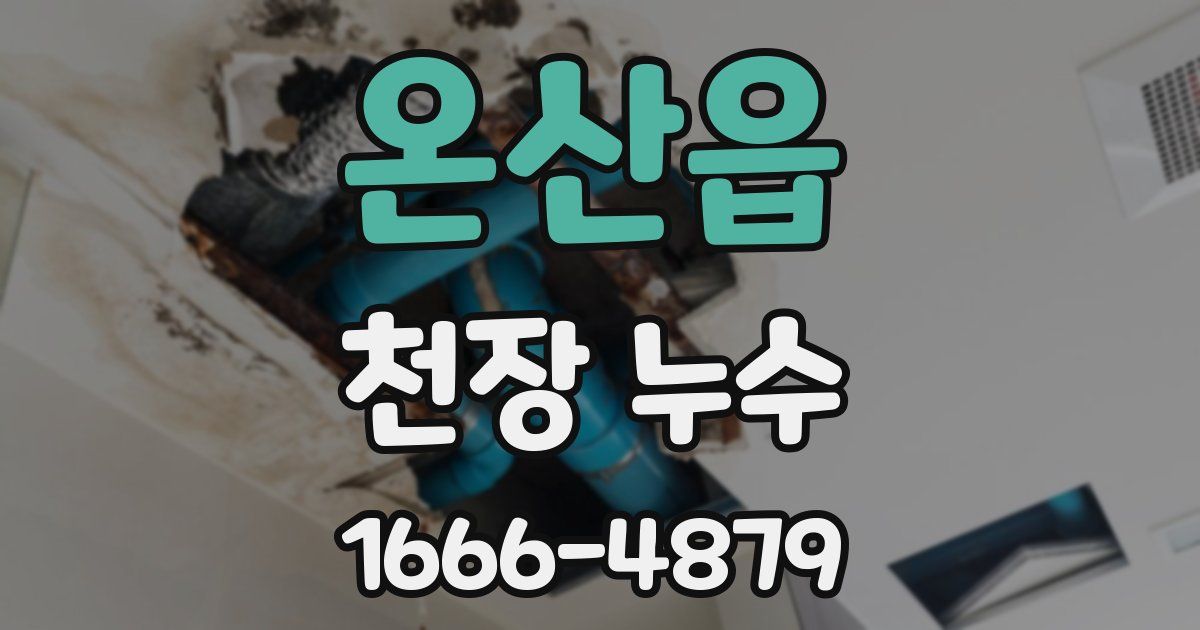 온산읍 천장 누수