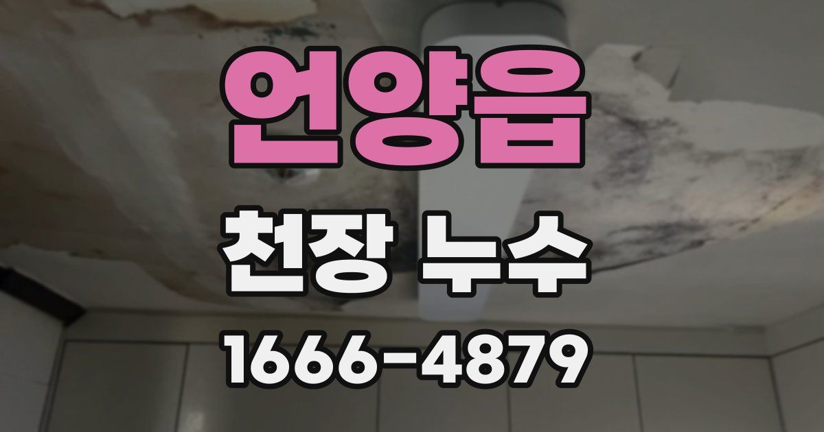 언양읍 천장 누수