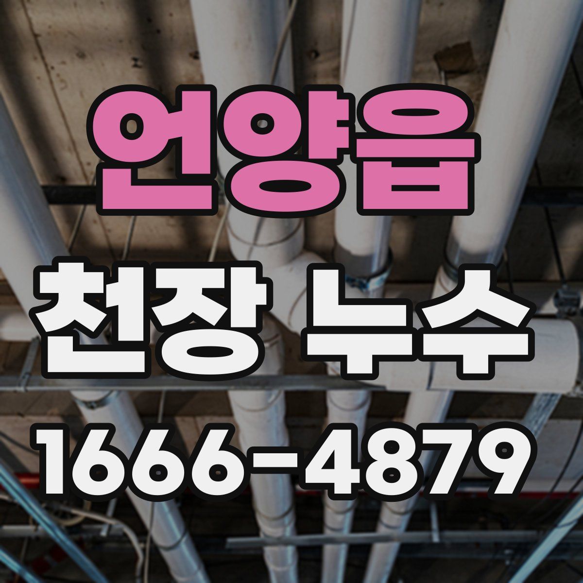 언양읍 천장 누수
