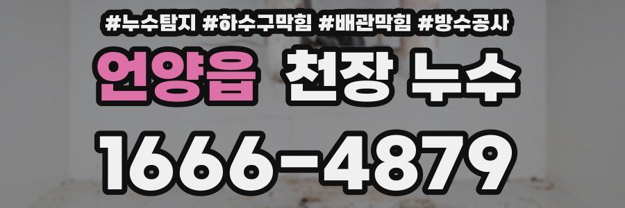 언양읍 천장 누수
