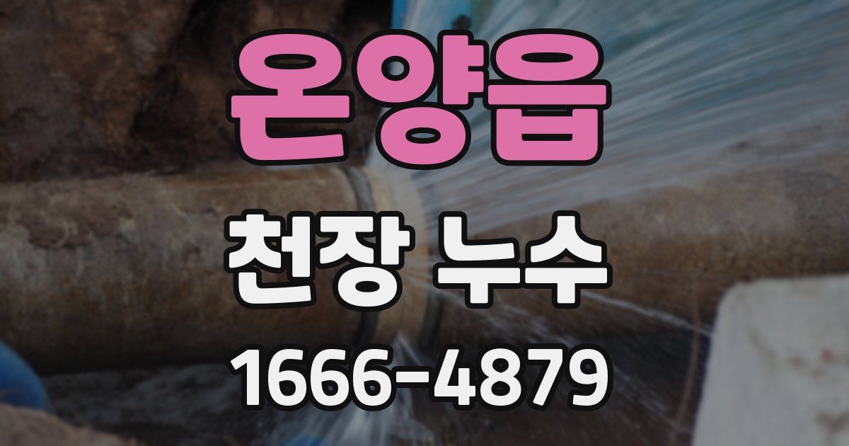 온양읍 천장 누수