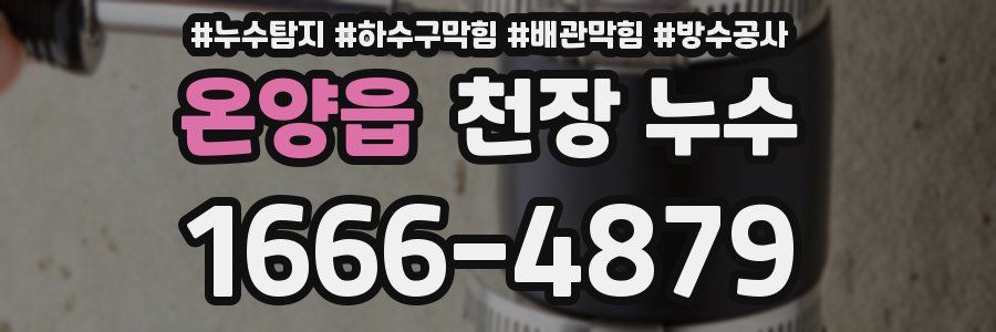 온양읍 천장 누수