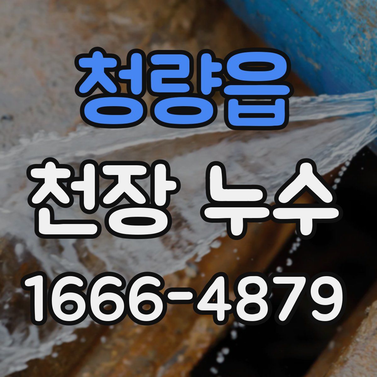 청량읍 천장 누수