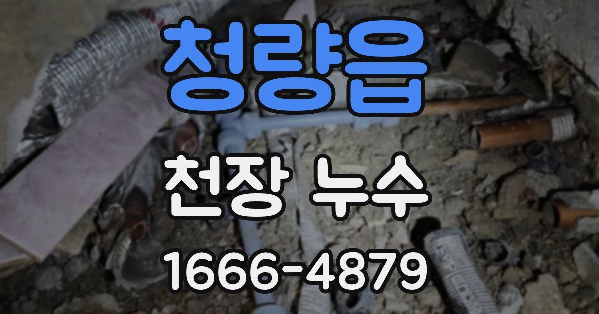 청량읍 천장 누수