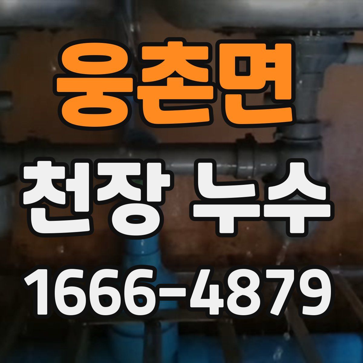 웅촌면 천장 누수