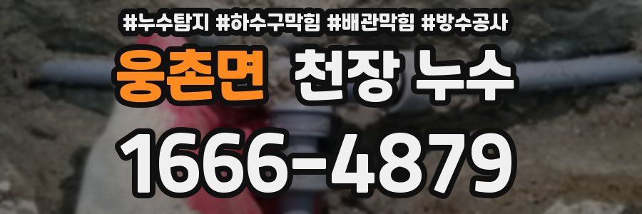 웅촌면 천장 누수