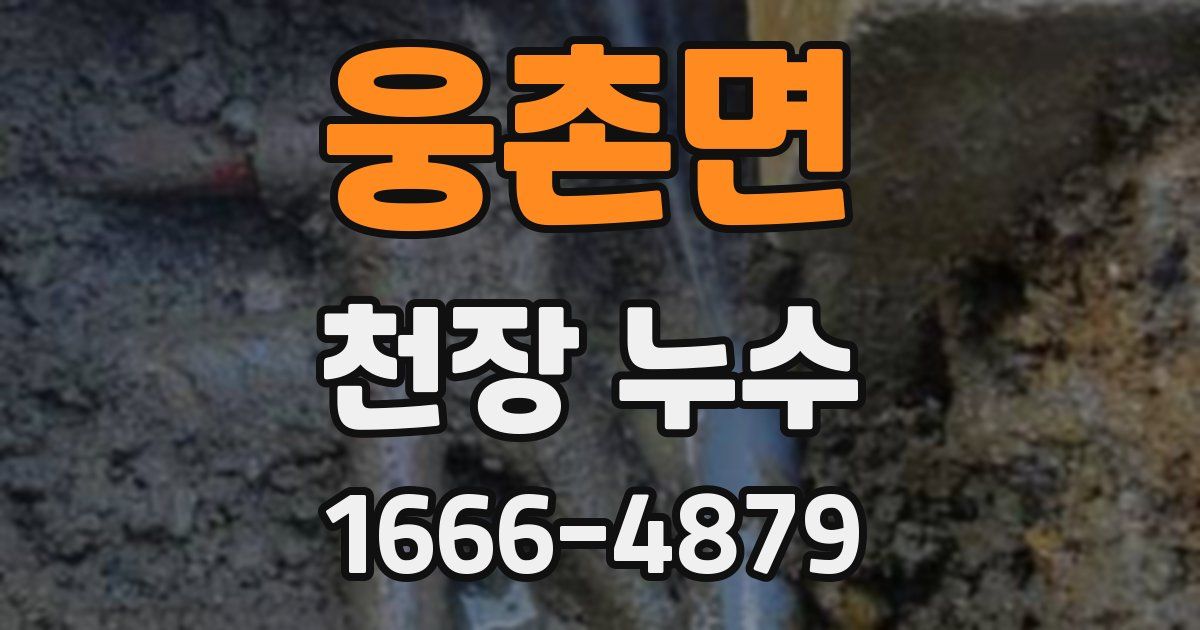 웅촌면 천장 누수