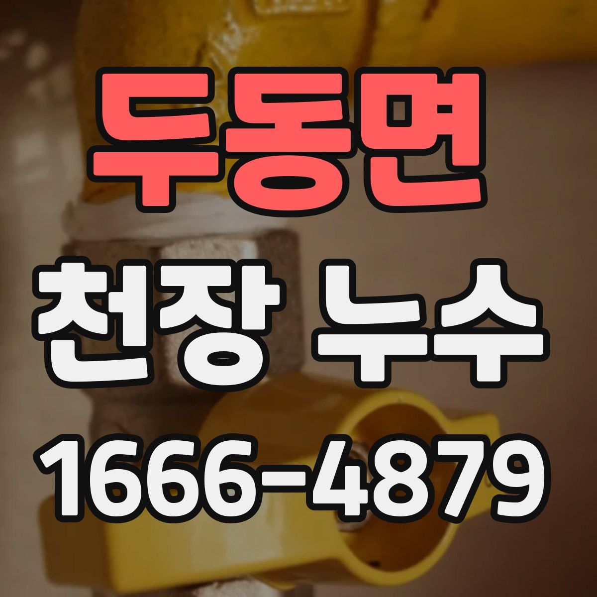 두동면 천장 누수