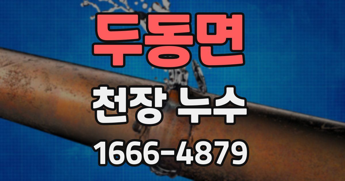 두동면 천장 누수