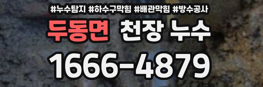 두동면 천장 누수