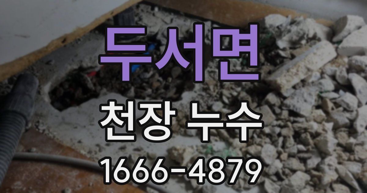 두서면 천장 누수