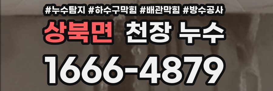 상북면 천장 누수