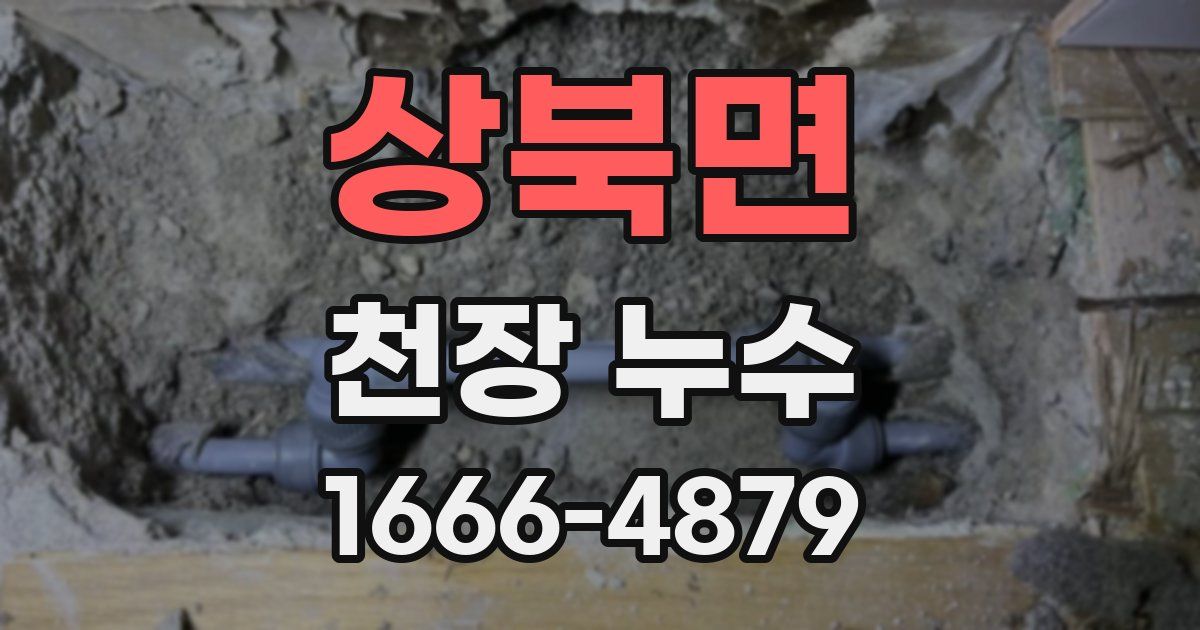 상북면 천장 누수