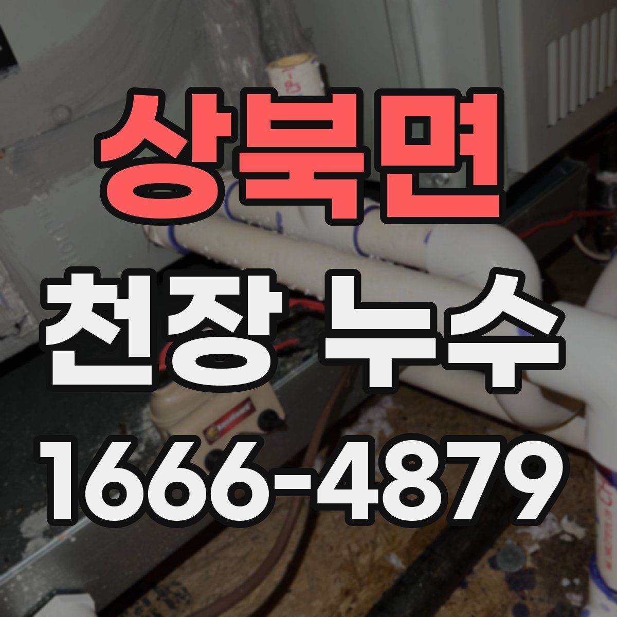 상북면 천장 누수