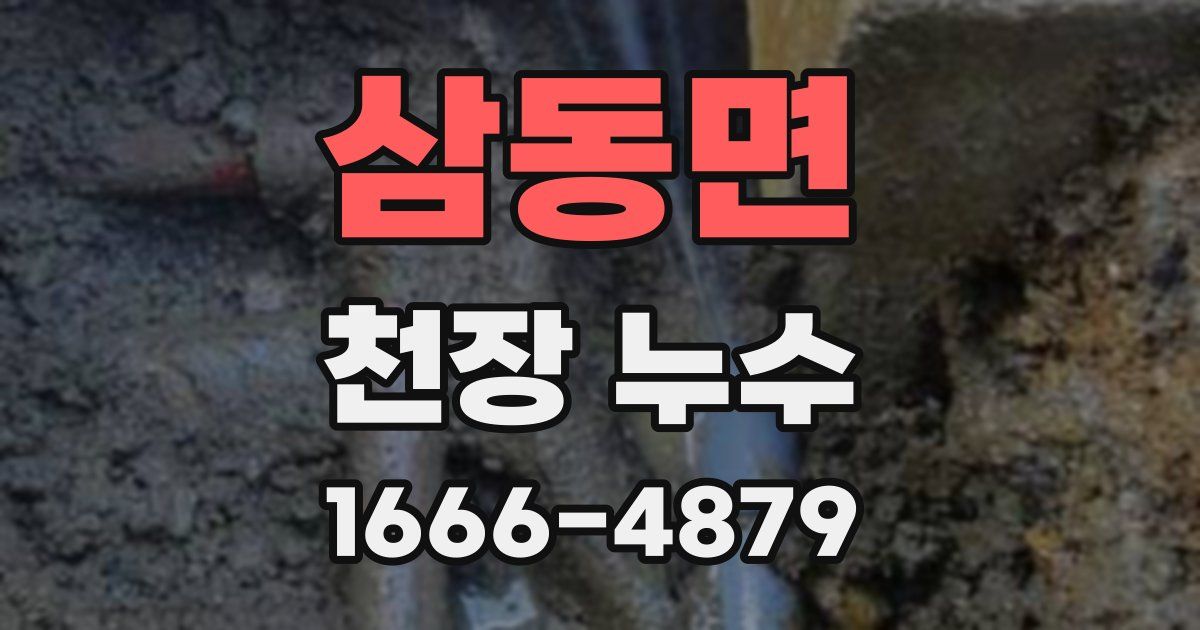 삼동면 천장 누수