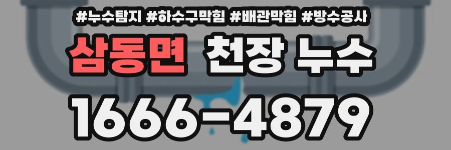 삼동면 천장 누수