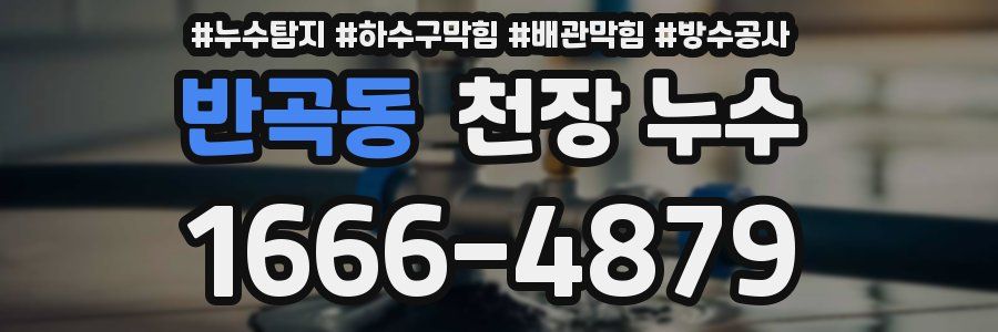 반곡동 천장 누수