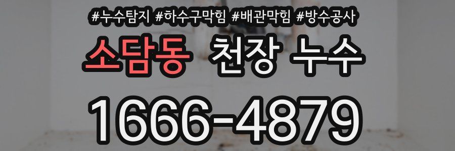 소담동 천장 누수