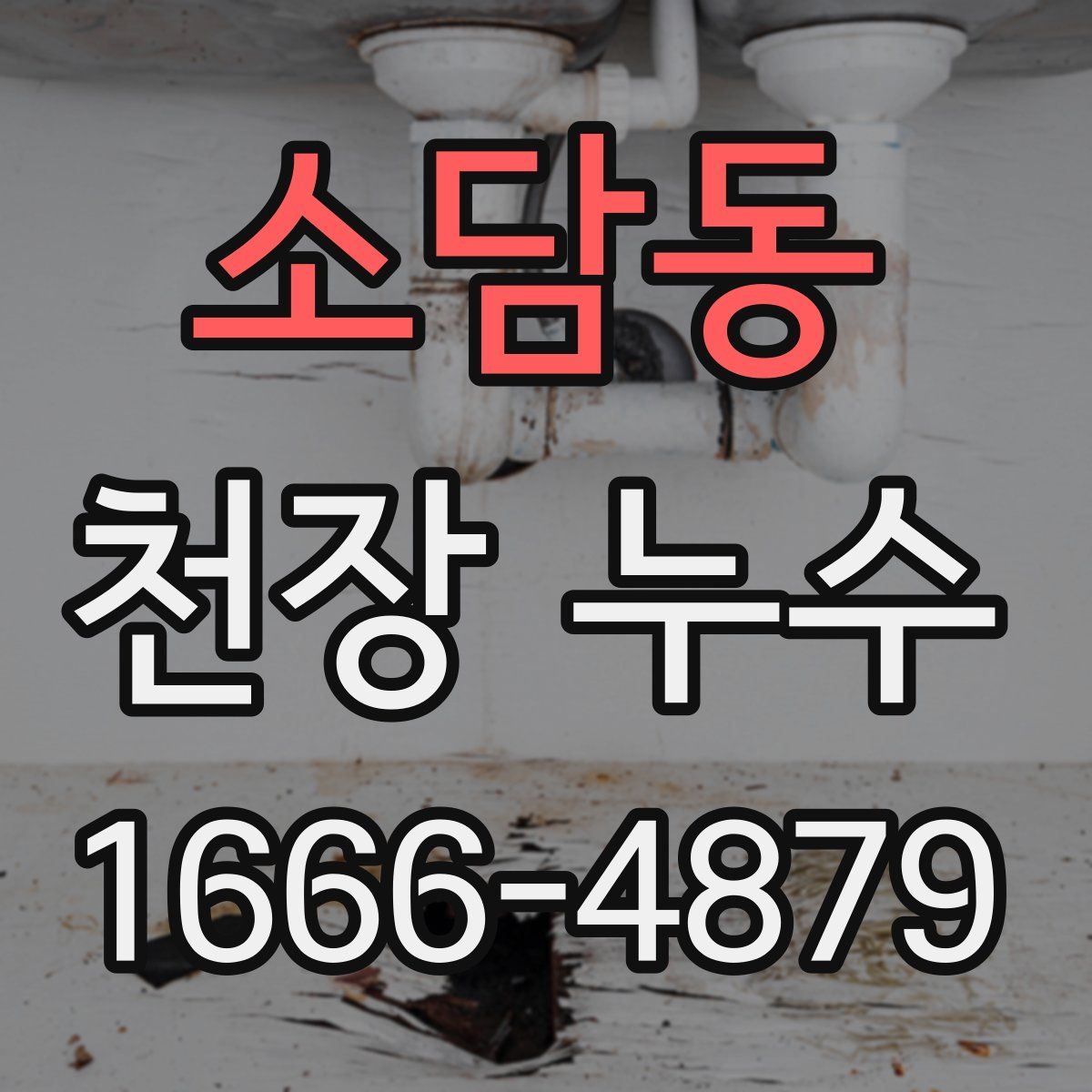 소담동 천장 누수