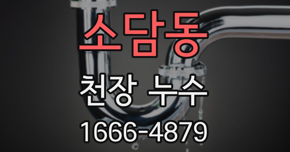 소담동 천장 누수