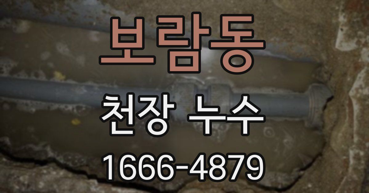 보람동 천장 누수