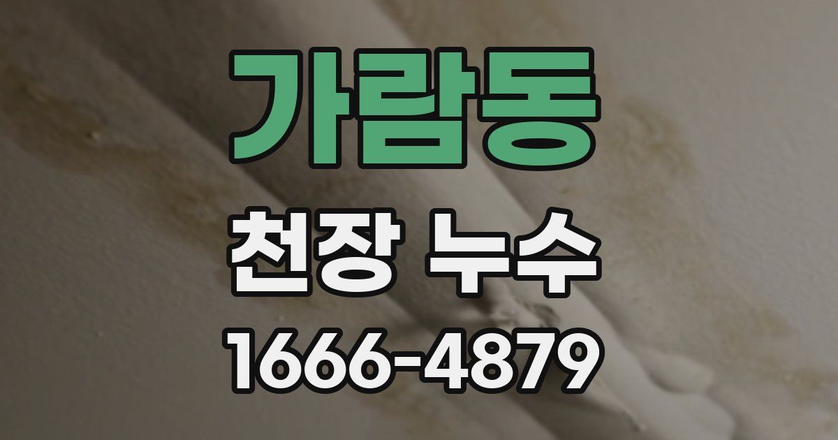 가람동 천장 누수