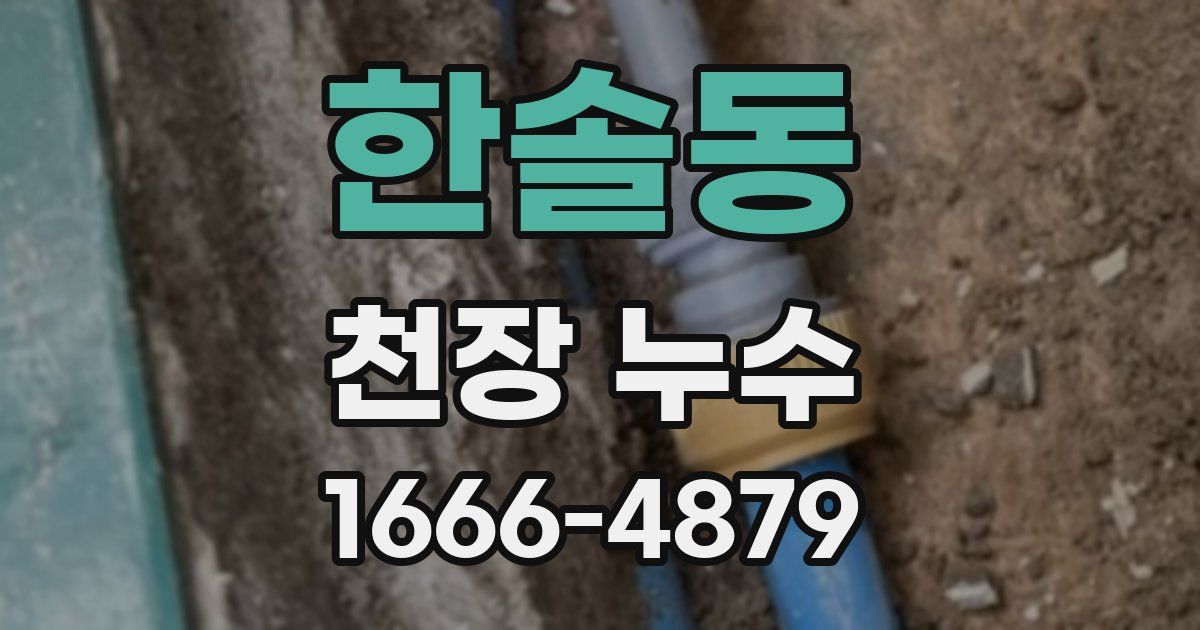 한솔동 천장 누수