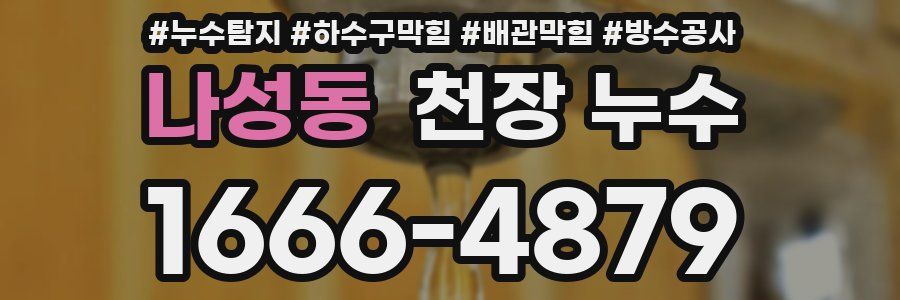 나성동 천장 누수