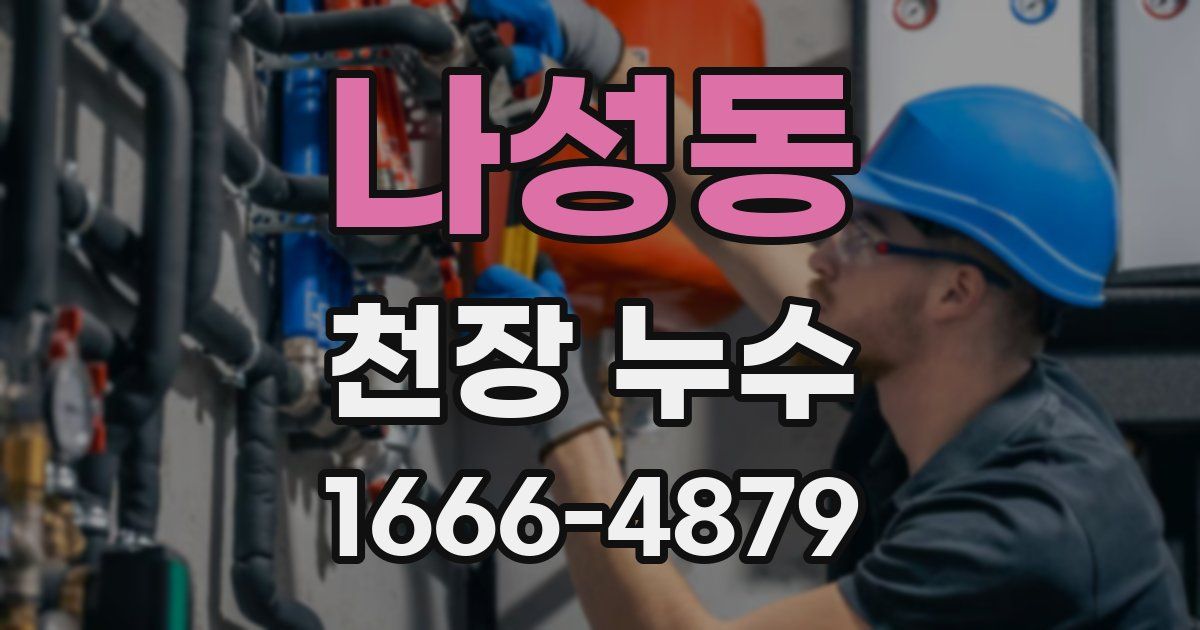 나성동 천장 누수