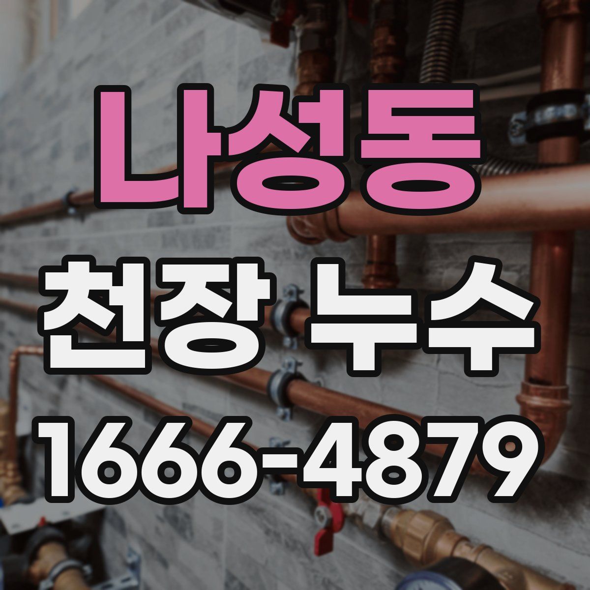 나성동 천장 누수