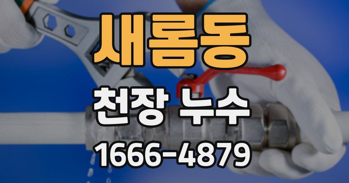새롬동 천장 누수