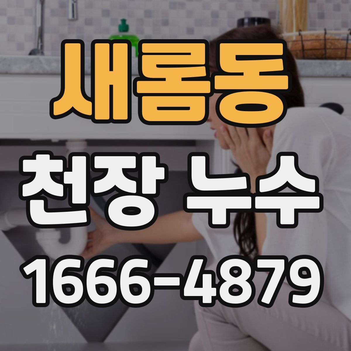 새롬동 천장 누수