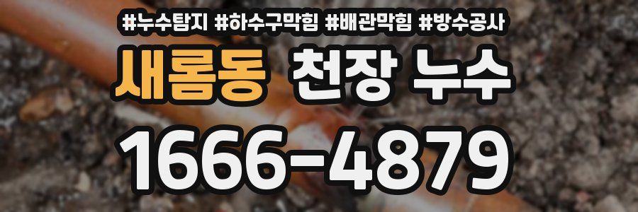 새롬동 천장 누수