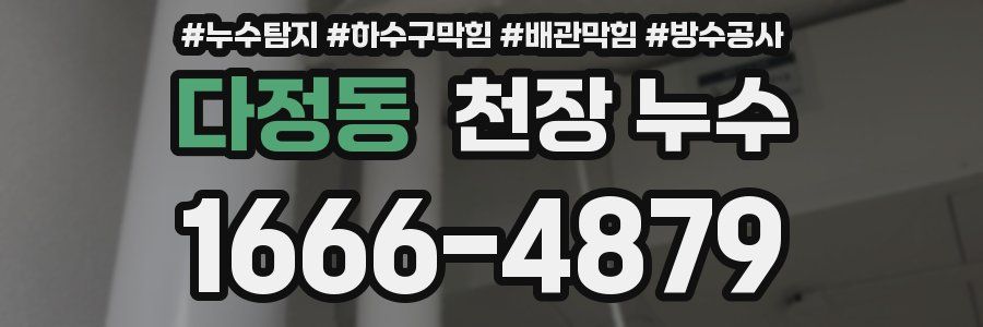 다정동 천장 누수